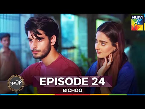 Bichoo Episode 24