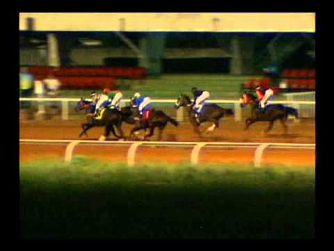 7ma. Carrera Jueves 17 de Octubre de 2013 SANTA RITA