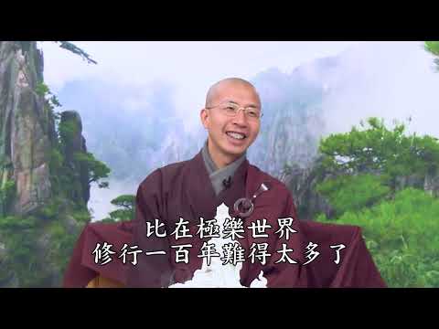 15 11 001 往生淨土問自己 （全字幕）