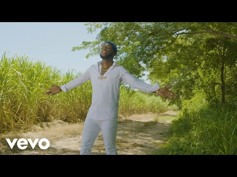 Flyght (Bluugo) - Cross Road (Official Video)