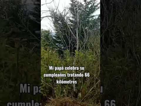 mi papá corre 😱66 kilómetros de santa fe de Antioquia hasta bello Antioquia 🇨🇴👏🎂