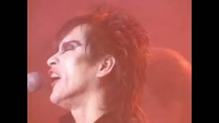 ザ・スターリン／渚の天婦羅ロック