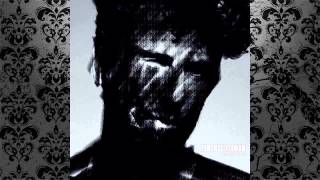 Terence Fixmer - Pallid Light (Original Mix) [CLR]