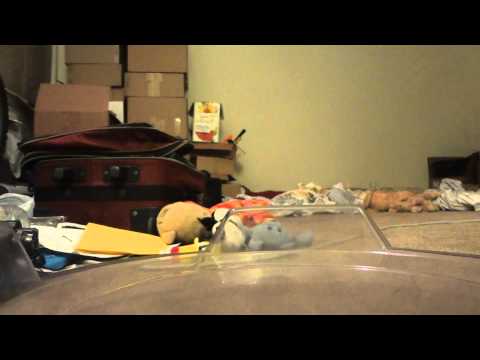 Beat Lynx vs Cosmic Pegasus