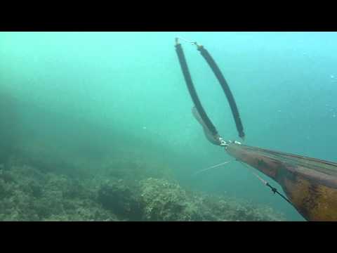 Pesca sub : arbapro prototipo makumba