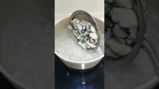 Download lagu Cara masak sup kerang tiram ala taiwan #short mp3 Download lagu Cara masak sup kerang tiram ala taiwan #short mp3