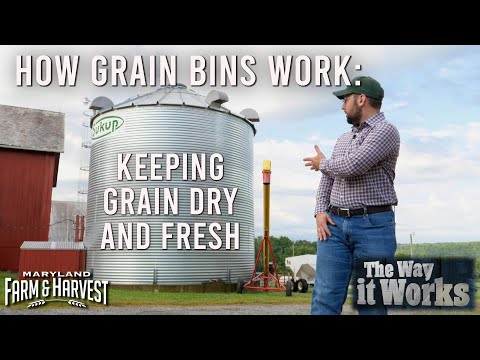 How Grain Bins Keep Crops from Spoiling | Maryland Farm & Harvest