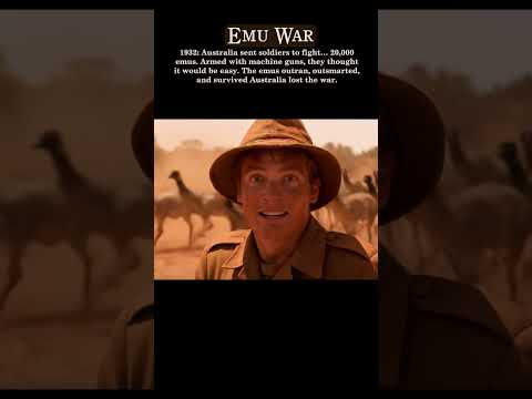 The Great Emu War: When Australia Lost to Birds | AI-Generated History with Veo3