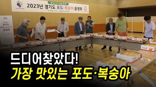 경기도농기원, 경기도 최고 포도·복숭아 선발 행사 가져