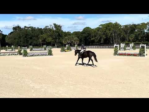 Tremendous video 2