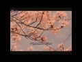Ailee - Sakura (hun sub) 