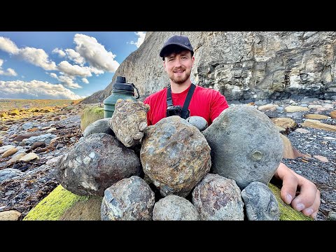 We CRACKED Giant Rocks For Fossils! Here’s What We Found Inside! 