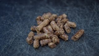 BBQr's Delight Wood Pellets Review