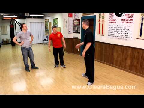 Bagua Basic Elbow
