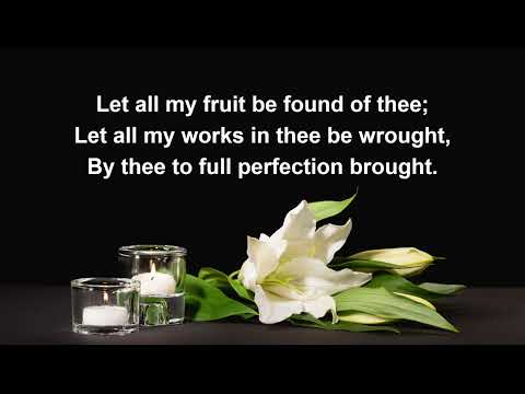 Behold the servant of the Lord