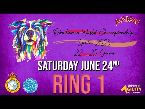 OBEDIENCE FCI WORLD CHAMPIONSHIP - SPAIN 2023 (RING 1 - SATURDAY Qualifications)