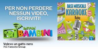 INC Karaoke Group - Volevo un gatto nero
