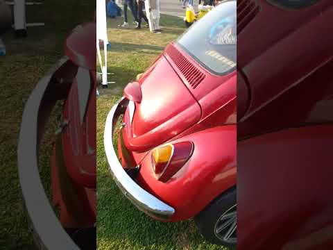 Volkswagen Beetle Motorbike (Beetle Trike) 😮