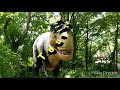 Real Live Dinosaurs Like In Jurassic World Fallen Kingdom Smith Monsters Go To Dinosauria