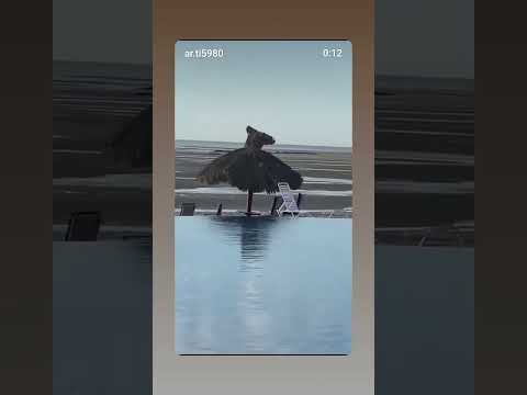 It's very peaceful cool place