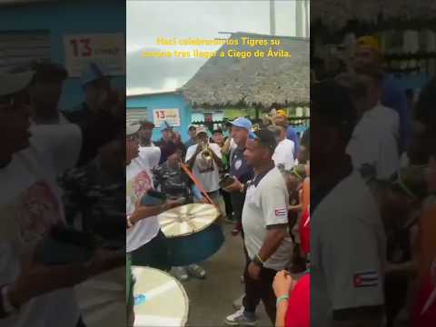 Así celebraron su corona los Tigres tras llegar a Ciego de Ávila.