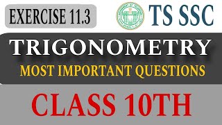 Trigonometry Exercise-11.3|Class 10th|Most important questions|#trigonometryclass10 #tsssc #exams