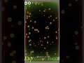 Thiruppi Thiruppi Un Niyabagam In Anegan Whatsapp Status