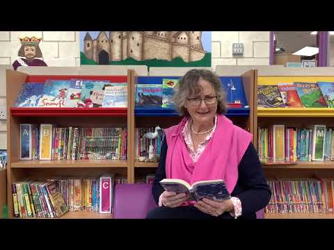 Yr5 6 Song of the Dolphin Boy   Chapter 3