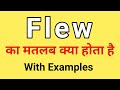 Flew Meaning in Hindi | Flew ka Matlab kya hota hai | Word Meaning English to Hindi