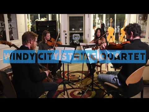 Promotional video thumbnail 3 for Windy City Strings