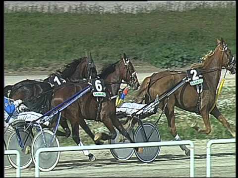 Trotto 26/02/2016 - 1° corsa