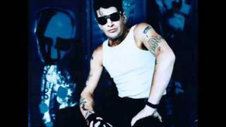 HERMAN BROOD NEVER BE CLEVER.flv