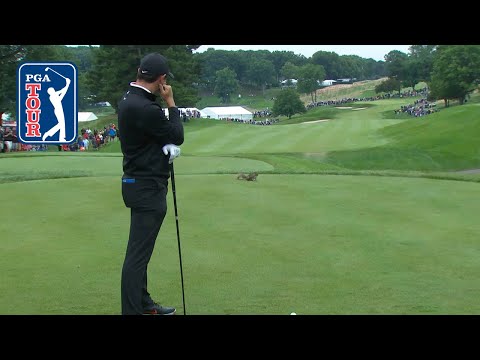 Rory McIlroy’s squirrel  encounter at Travelers 2018