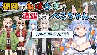 【ホロライブ切り抜き】福岡で ねぽらぼに遭遇する ぺこちゃんｗ【兎田ぺこら】