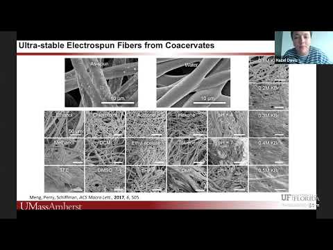 POLY PMSE Student Chapter Summer Seminar Series