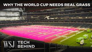 Why FIFA Is Staking Its $3.8B World Cup on This Grass Experiment | WSJ Tech Behind