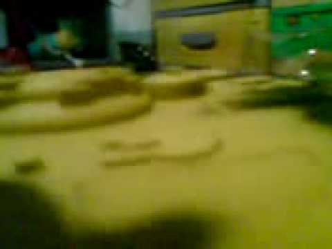 Saving Plastic Ryan 2