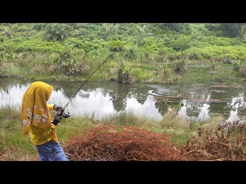 TANGKAP, DAPAT, MASAK, MAKAN,anak GADIS pinter MANCING