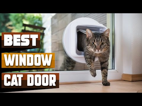 Best Cat Door for Window In 2022 - Top 10 cat Door Windows Review