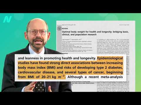 What’s the Ideal BMI?