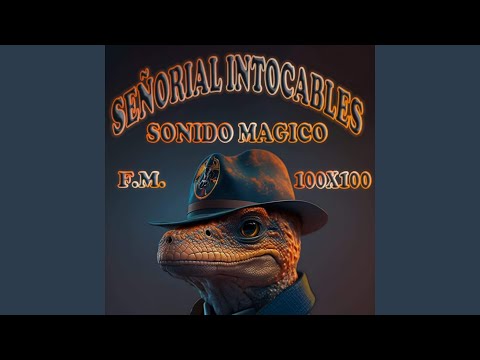 Ch'utas caquiaviri
