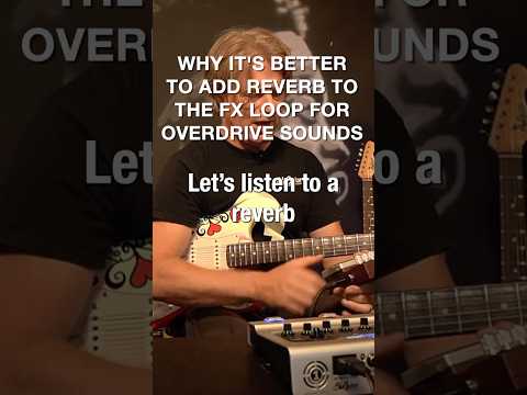 REVERB IN FRONT OF THE AMP vs THE FX LOOP #bluguitar #thomasblug #reverb #amp1mercuryedition #amp1
