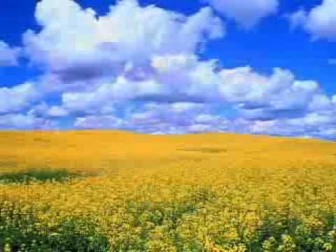 Kompliment - Allens Kloor - Schleswig-Holstein Song von R.SH mit Songtext - Version 2