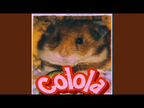 Colola