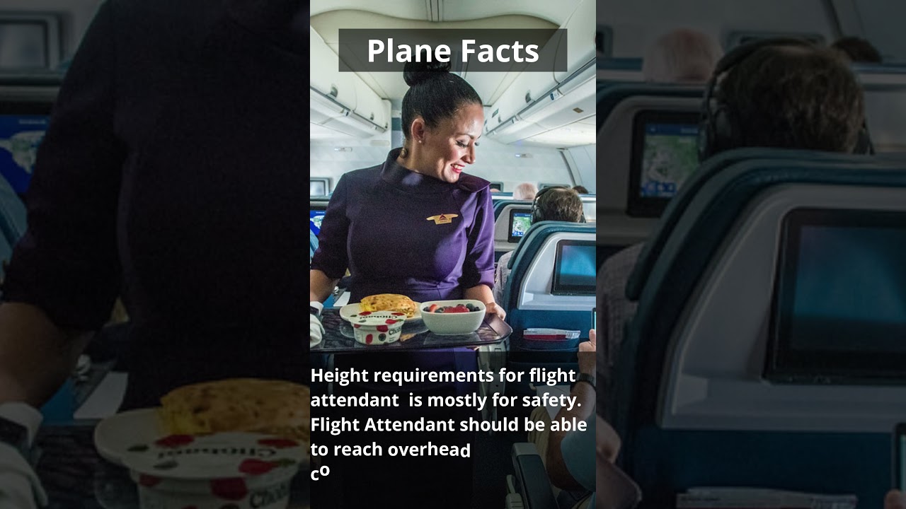 Plane Facts : Height requirements