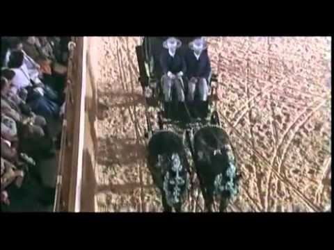 As the Andalusian Horses Dance