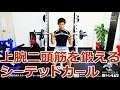 上腕二頭筋を鍛えるシーテッドカールの方法とポイント/筋トレ実践講座
