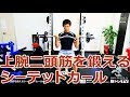 上腕二頭筋を鍛えるシーテッドカールの方法とポイント／筋トレ実践講座