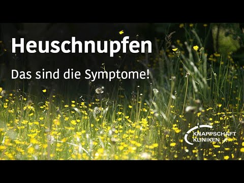 Heuschnupfen: An diesen Symptomen erkennst Du, ob Du möglicherweise Heuschnupfen hast!