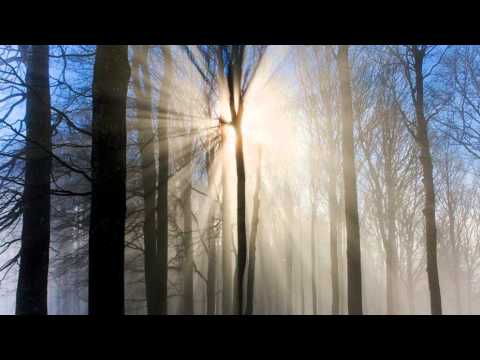 Nostalgic  -  Walter Losi & R.Scaglioni